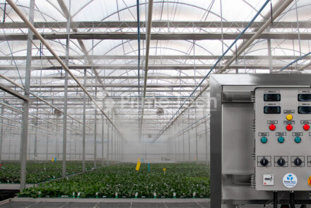 sistema-de-microaspersao-em-estufa-agricola