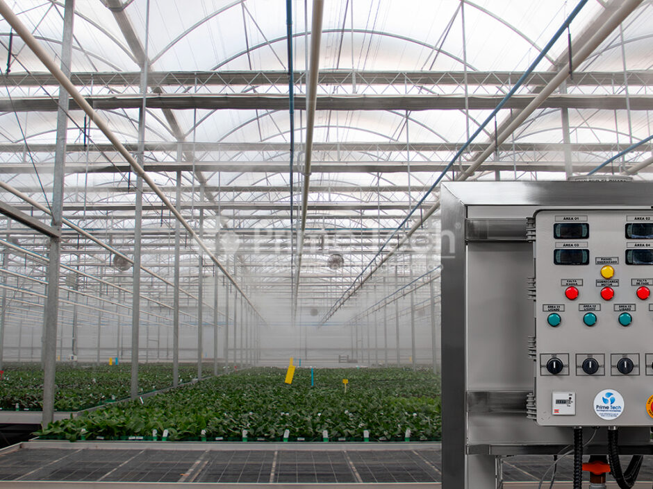 sistema-de-microaspersao-em-estufa-agricola